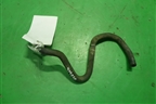 Шланг топливный ( 1.4л CGG) (на рейку) (036133723BQ) для Volkswagen Golf VI с 2009-2012г