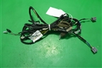 Проводка салонная (на обшивку потолка) (DN1T14335FB) для Ford EcoSport с 2014г