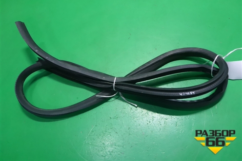 Уплотнитель двери задней правой (DN15N24754) для Ford EcoSport с 2014г