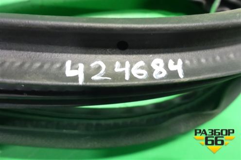 Уплотнитель двери задней правой (DN15N24754) для Ford EcoSport с 2014г