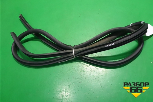 Уплотнитель двери передней правой (DN15N20724) для Ford EcoSport с 2014г