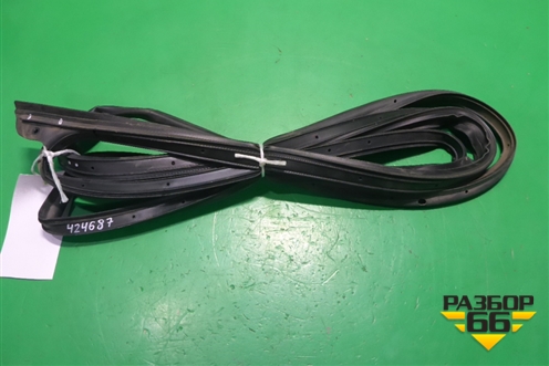 Уплотнитель двери передней правой на каркас (DN15N20530AB) для Ford EcoSport с 2014г