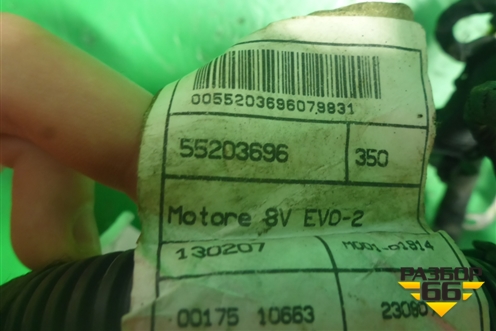 Проводка подкапотная ( 1.4л 350A1000) (55203696) для Fiat Albea с 2003г