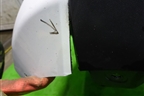 Бампер задний (850220699R) для VAZ XRAY с 2016г