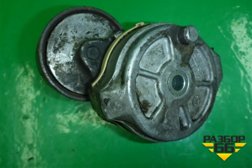 Ролик натяжитель ремня навесного оборудования (D2066) для MAN  TGS с 2007г