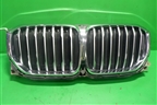 Решетка радиатора (под камеру) (51749465525) для BMW X5 G05 с 2018г