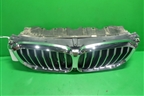 Решетка радиатора (под камеру) (51749465525) для BMW X5 G05 с 2018г