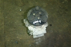 Компрессор кондиционера для Ford Fiesta с 2001-2008г