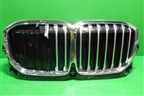 Решетка радиатора (под камеру) (5113226775) для BMW X7 G07 с 2018г