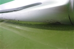 Накладка на порог наружная правая на подножку (5177360160) для Toyota Land Cruiser (200) с 2008г