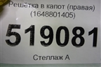 Решетка в капот (правая) (1648801405) для Mercedes Benz ML-Klass W164 c 2005-2011г