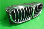 Решетка радиатора (под камеру) (51137454887 5113226775) для BMW X5 G05 с 2018г