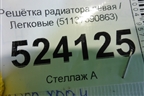 Решетка радиатора левая (51137390863) для BMW 5-серия G30 с 2017г