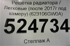 Решетка радиатора (после 2017г под камеру) (623106GW0A) для Infiniti Infiniti QX56/QX80 (Z62) с 2010г