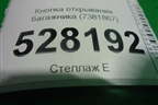 Кнопка открывания багажника (7381867) для BMW 5-серия G30 с 2017г