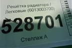 Решетка радиатора (6013003700) ( 01862989) для Geely Atlas с 2016-2022г