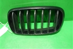 Решетка радиатора левая (7316075) для BMW X5 F15 с 2013г