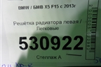 Решетка радиатора левая (7316075) для BMW X5 F15 с 2013г