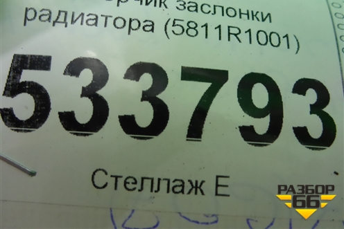 Моторчик заслонки радиатора (5811R1001) для BMW X7 G07 с 2018г