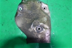 Экран тепловой (2.2л SH) для Mazda CX 5 с 2012-2016г