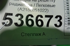 Накладка на решетку радиатора (A2188851022) для Mercedes Benz CLS W218 c 2010г