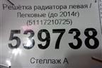 Решетка радиатора левая (до 2014г) (51117210725) для BMW X3 F25 с 2010-2017г