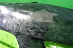 Бампер передний (под омыватели) (71101T2FA000) для Honda Accord IX с 2013г