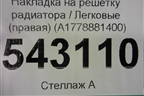 Накладка на решетку радиатора (правая) (A1778881400) для Mercedes Benz A200/220 W177 с 2018г