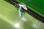 Стекло лобовое (с полным обогревом под датчик дождя) (5610160F90) для Toyota Land Cruiser Prado(150) с 2009г