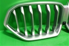 Решетка радиатора (под камеру) (51138494884) для BMW X6 G06 с 2019г