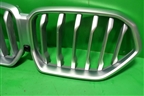 Решетка радиатора (под камеру) (51138494884) для BMW X6 G06 с 2019г