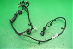 Проводка двери передней левой (GN1514631BCD) для Ford EcoSport с 2014г