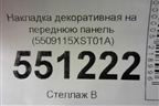 Накладка декоративная на переднюю панель (5509115XST01A) для Haval Jolion с 2021г