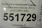 Решетка в передний бампер центральная (после 2017г) (A2228851400) для Mercedes Benz S-Klass W222 с 2013-2020г
