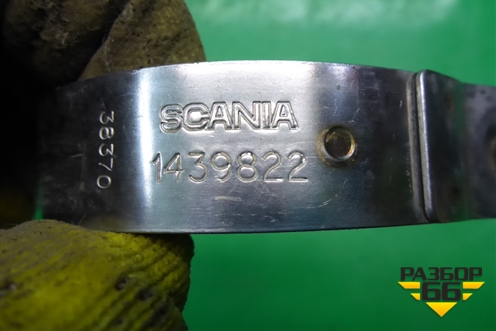 Хомут (патрубка интеркулера) (1439822) для Scania  5 P Series с 2004-2016г