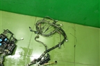 Проводка подкапотная (2.0л LF МКПП) для Mazda Mazda 6 (GG) с 2002-2007г