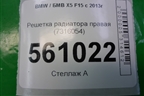Решетка радиатора правая (7316054) для BMW X5 F15 с 2013г