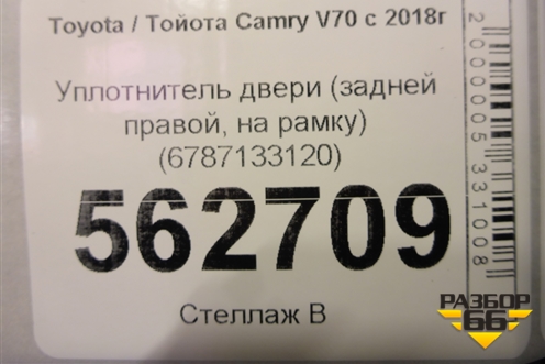 Уплотнитель двери (задней правой, на рамку) (6787133120) для Toyota Camry V70 с 2017г