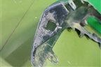 Юбка переднего бампера (524110R220) для Toyota Rav-4 с 2012-2019г
