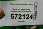 Накладка на решетку радиатора (623828836R) для Nissan Terrano с 2014г
