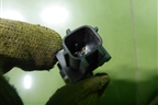 Датчик AIR BAG (передний) (4B0959643D) для Audi A8 с 2002-2010г