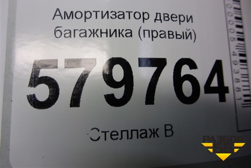Амортизатор двери багажника (правый) (95962016) для Ravon R2 с 2016г