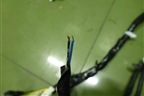Проводка салонная (240141SZ6A) для Nissan Murano (Z51) с 2007-2015г