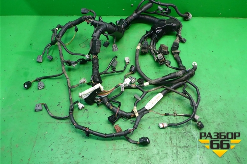 Проводка на двигатель (3.5л VQ35DE АКПП) (240111AA0A) для Nissan Murano (Z51) с 2007-2015г