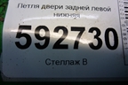 Петля двери задней левой нижняя для Ford Focus 2 с 2008-2011г