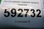 Петля двери задней правой нижняя для Ford Focus 2 с 2008-2011г