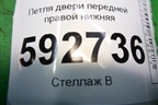 Петля двери передней правой нижняя для Ford Focus 2 с 2008-2011г
