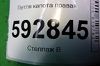 Петля капота правая для Peugeot Partner с 2002-2010г