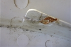 Корпус подножки левой (812W615100828) для Sitrak  C7H