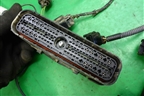 Проводка на двигатель (1.4л FXJA) (6S6T14K011DH) для Ford Fiesta с 2001-2008г